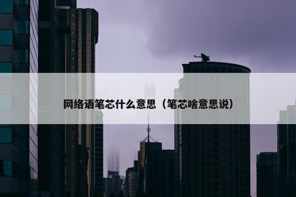 网络语笔芯什么意思（笔芯啥意思说）