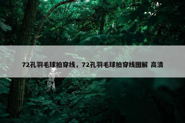 72孔羽毛球拍穿线，72孔羽毛球拍穿线图解 高清