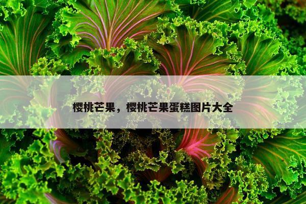 樱桃芒果，樱桃芒果蛋糕图片大全