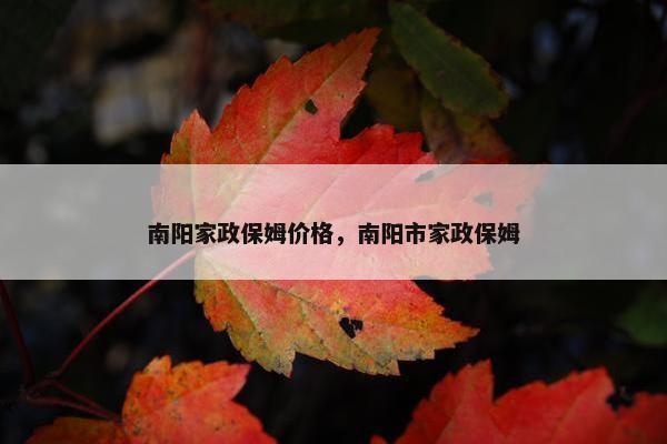 南阳家政保姆价格，南阳市家政保姆