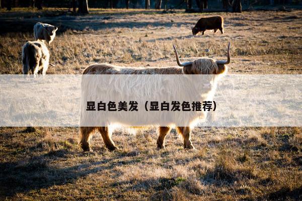 显白色美发（显白发色推荐）