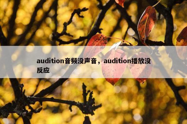 audition音频没声音,audition播放没反应 audition音频没声音,audition播放没反应