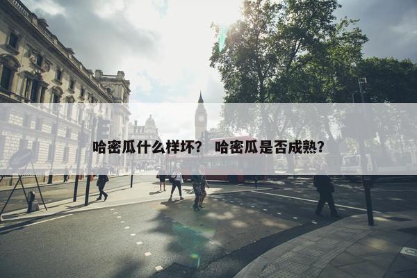 哈密瓜什么样坏? 哈密瓜是否成熟? 哈密瓜什么样坏? 哈密瓜是否成熟?