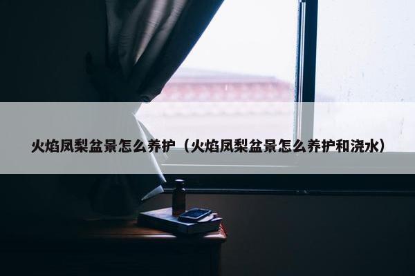 火焰凤梨盆景怎么养护(火焰凤梨盆景怎么养护和浇水) 火焰凤梨盆景怎么养护(火焰凤梨盆景怎么养护和浇水)
