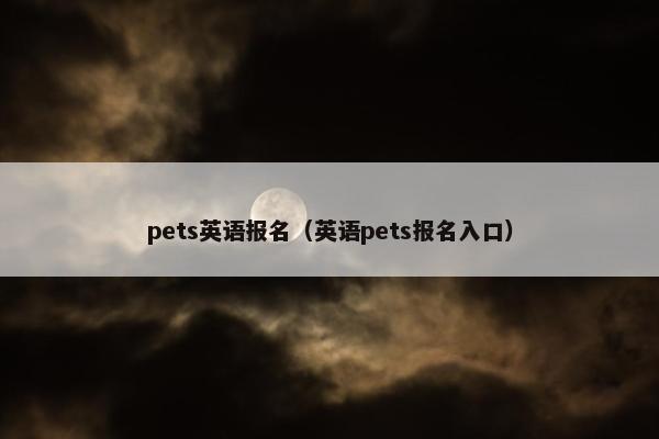 pets英语报名（英语pets报名入口）