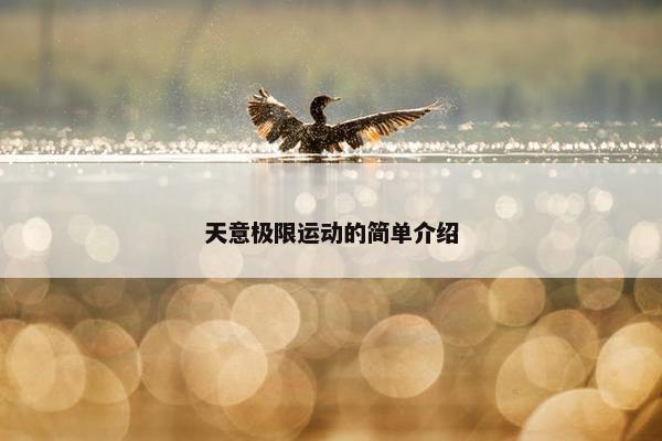 天意极限运动的简单介绍