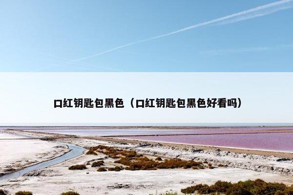 口红钥匙包黑色（口红钥匙包黑色好看吗）