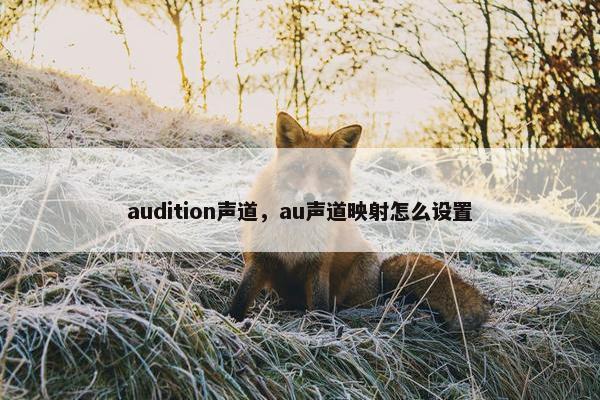 audition声道，au声道映射怎么设置