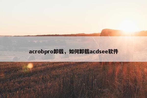 acrobpro卸载，如何卸载acdsee软件