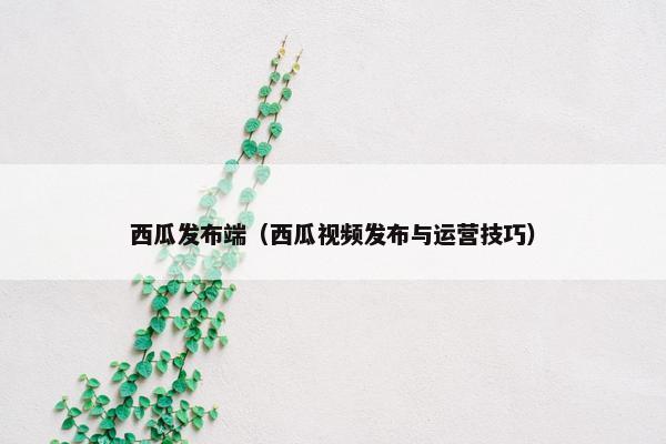 西瓜发布端（西瓜视频发布与运营技巧）