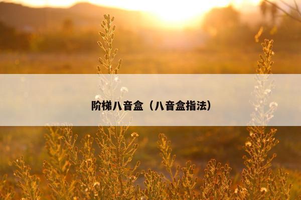 阶梯八音盒（八音盒指法）