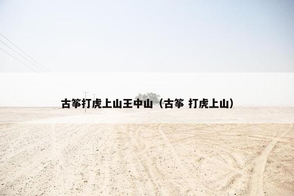 古筝打虎上山王中山（古筝 打虎上山）