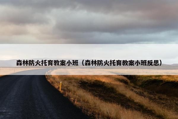 森林防火托育教案小班（森林防火托育教案小班反思）