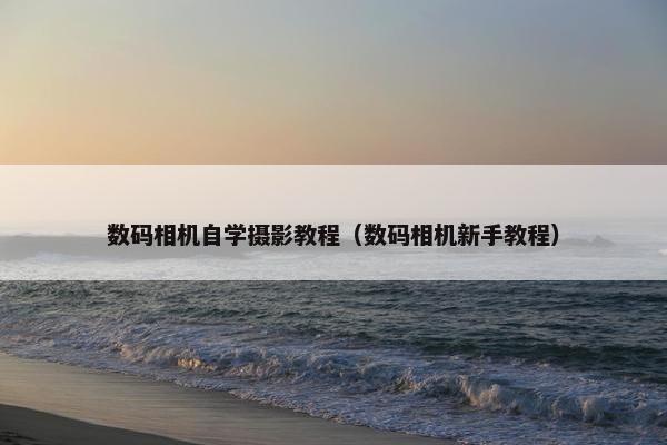 数码相机自学摄影教程（数码相机新手教程）
