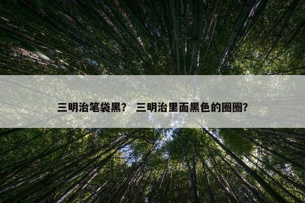 三明治笔袋黑? 三明治里面黑色的圈圈? 三明治笔袋黑? 三明治里面黑色的圈圈?