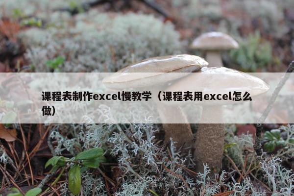 课程表制作excel慢教学（课程表用excel怎么做）