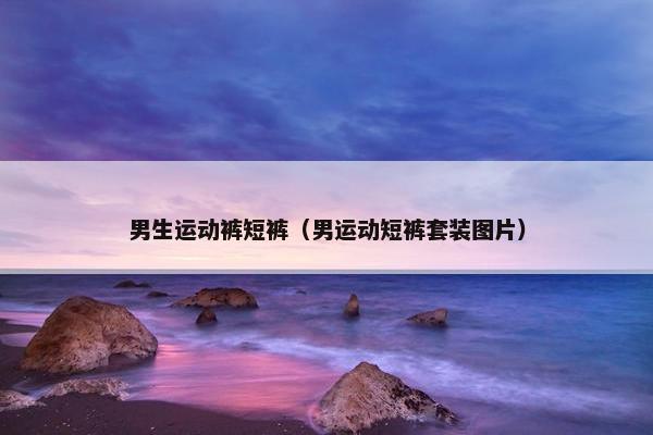 男生运动裤短裤（男运动短裤套装图片）