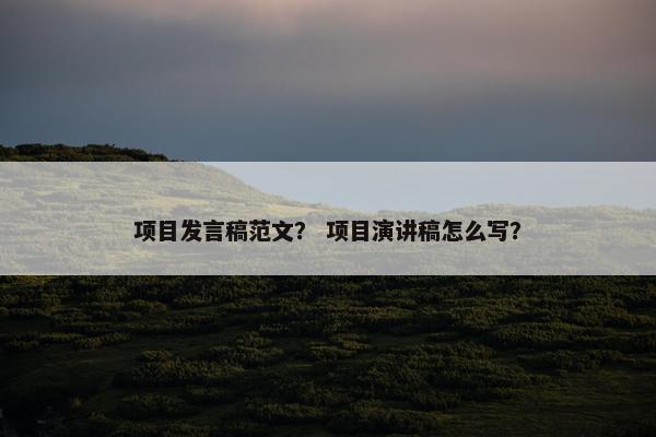 项目发言稿范文？ 项目演讲稿怎么写？