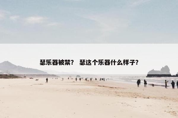 瑟乐器被禁？ 瑟这个乐器什么样子？