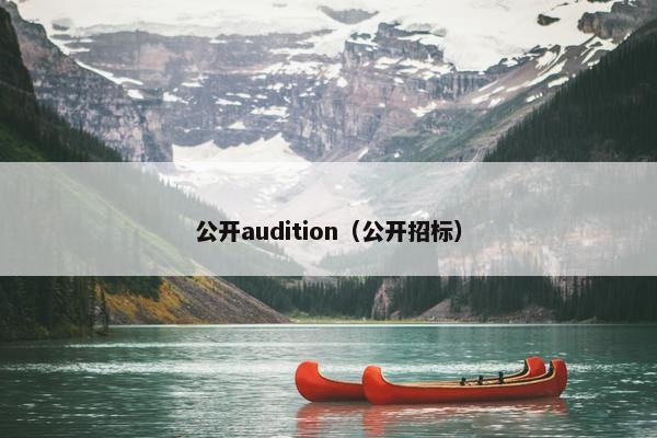 公开audition（公开招标）