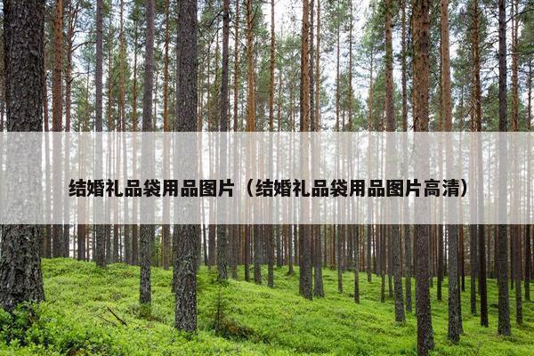 结婚礼品袋用品图片（结婚礼品袋用品图片高清）