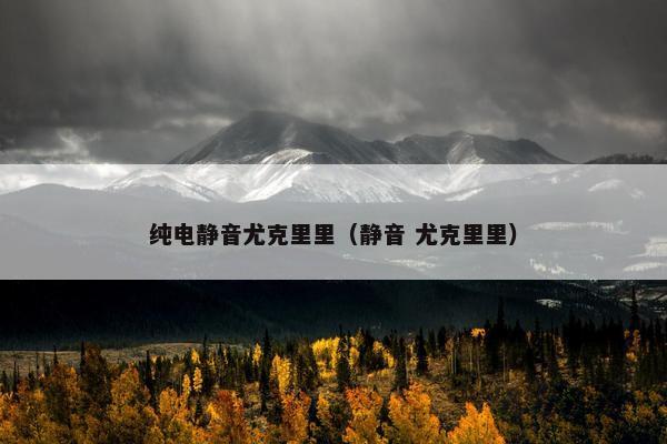 纯电静音尤克里里（静音 尤克里里）