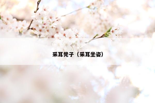 采耳凳子(采耳坐姿) 采耳凳子(采耳坐姿)