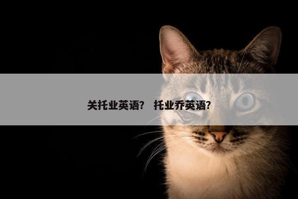 关托业英语？ 托业乔英语？