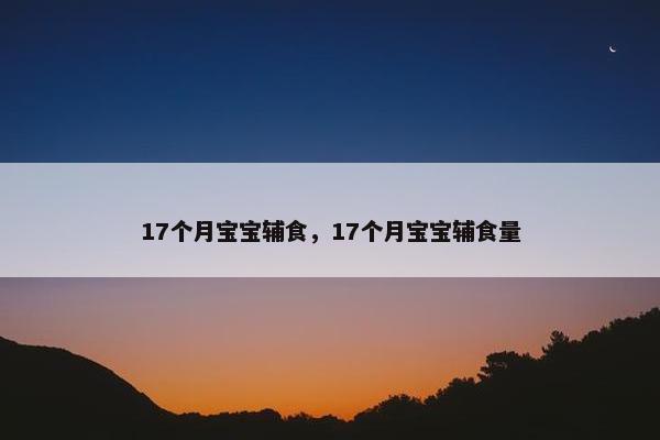 17个月宝宝辅食，17个月宝宝辅食量