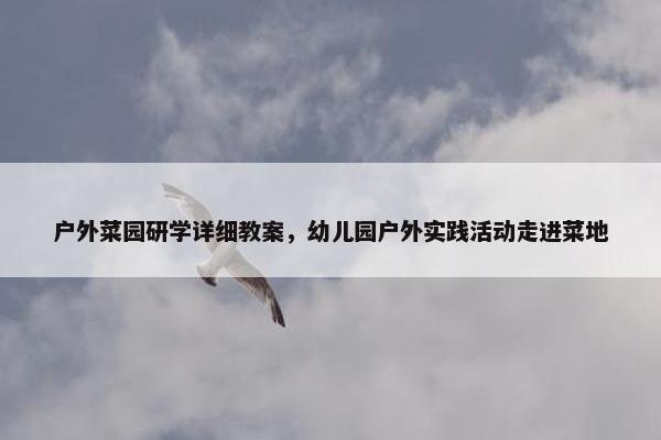 户外菜园研学详细教案，幼儿园户外实践活动走进菜地