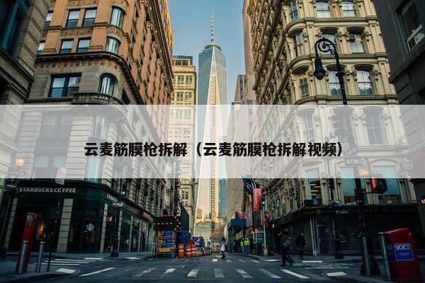 云麦筋膜枪拆解（云麦筋膜枪拆解视频）