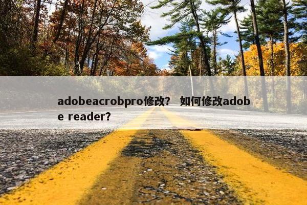 adobeacrobpro修改？ 如何修改adobe reader？