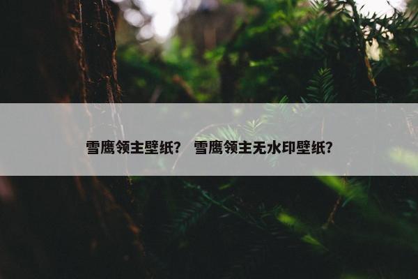 雪鹰领主壁纸？ 雪鹰领主无水印壁纸？