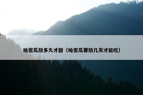 哈密瓜放多久才甜（哈密瓜要放几天才能吃）