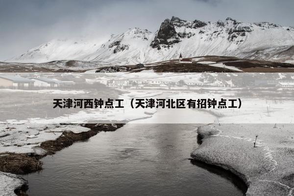 天津河西钟点工（天津河北区有招钟点工）