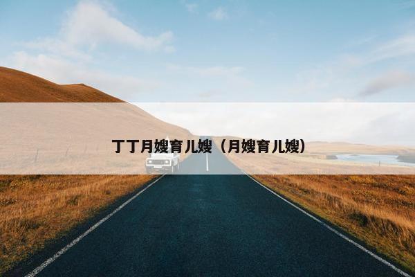 丁丁月嫂育儿嫂（月嫂育儿嫂）