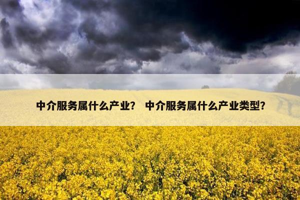 中介服务属什么产业? 中介服务属什么产业类型? 中介服务属什么产业? 中介服务属什么产业类型?