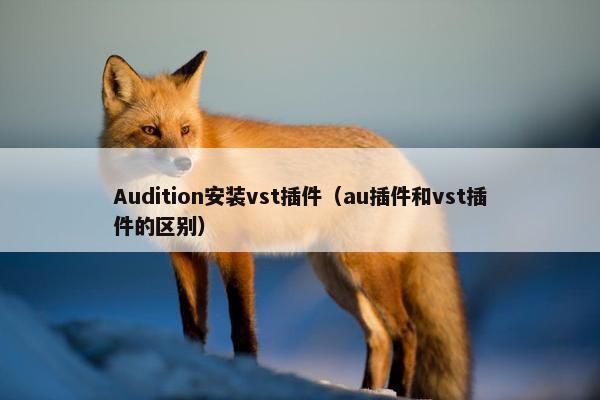 Audition安装vst插件（au插件和vst插件的区别）