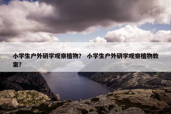 小学生户外研学观察植物？ 小学生户外研学观察植物教案？