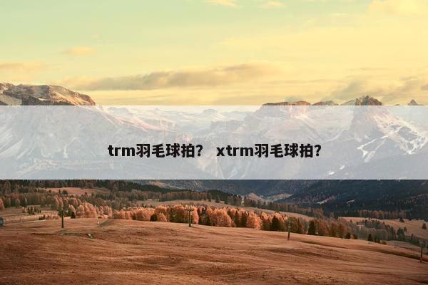 trm羽毛球拍？ xtrm羽毛球拍？