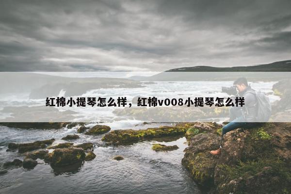 红棉小提琴怎么样，红棉v008小提琴怎么样