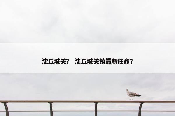 沈丘城关？ 沈丘城关镇最新任命？