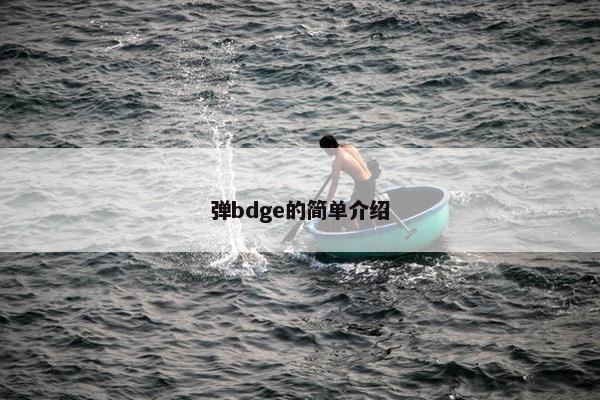 弹bdge的简单介绍