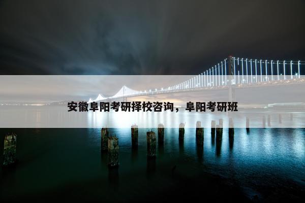 安徽阜阳考研择校咨询，阜阳考研班