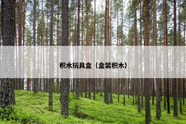 积木玩具盒（盒装积木）