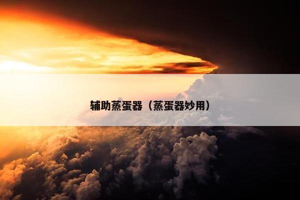 辅助蒸蛋器（蒸蛋器妙用）