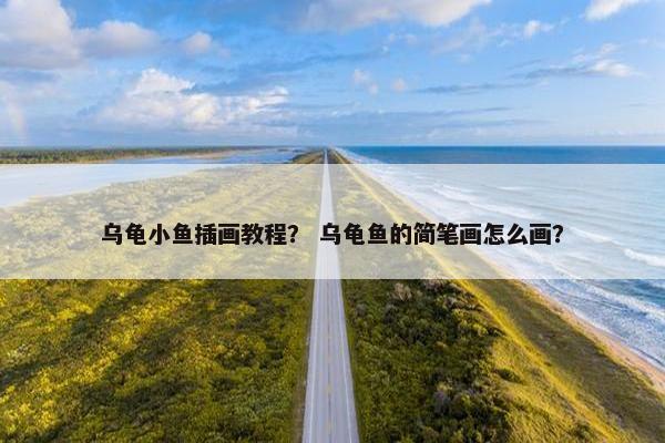 乌龟小鱼插画教程？ 乌龟鱼的简笔画怎么画？