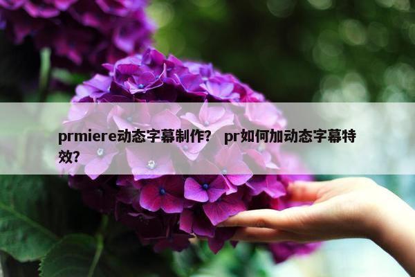 prmiere动态字幕制作？ pr如何加动态字幕特效？