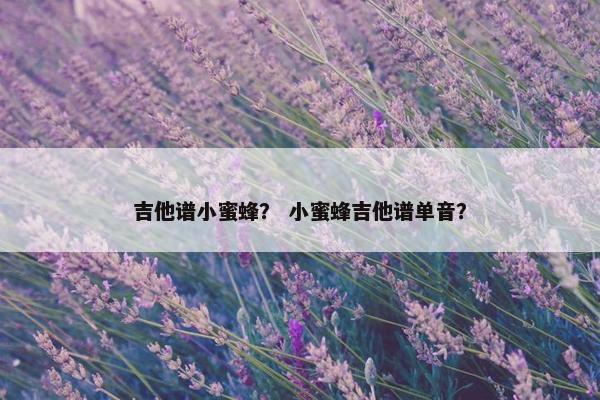 吉他谱小蜜蜂？ 小蜜蜂吉他谱单音？