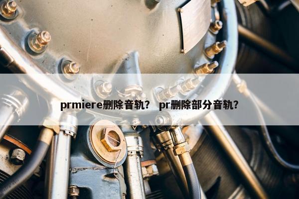 prmiere删除音轨？ pr删除部分音轨？
